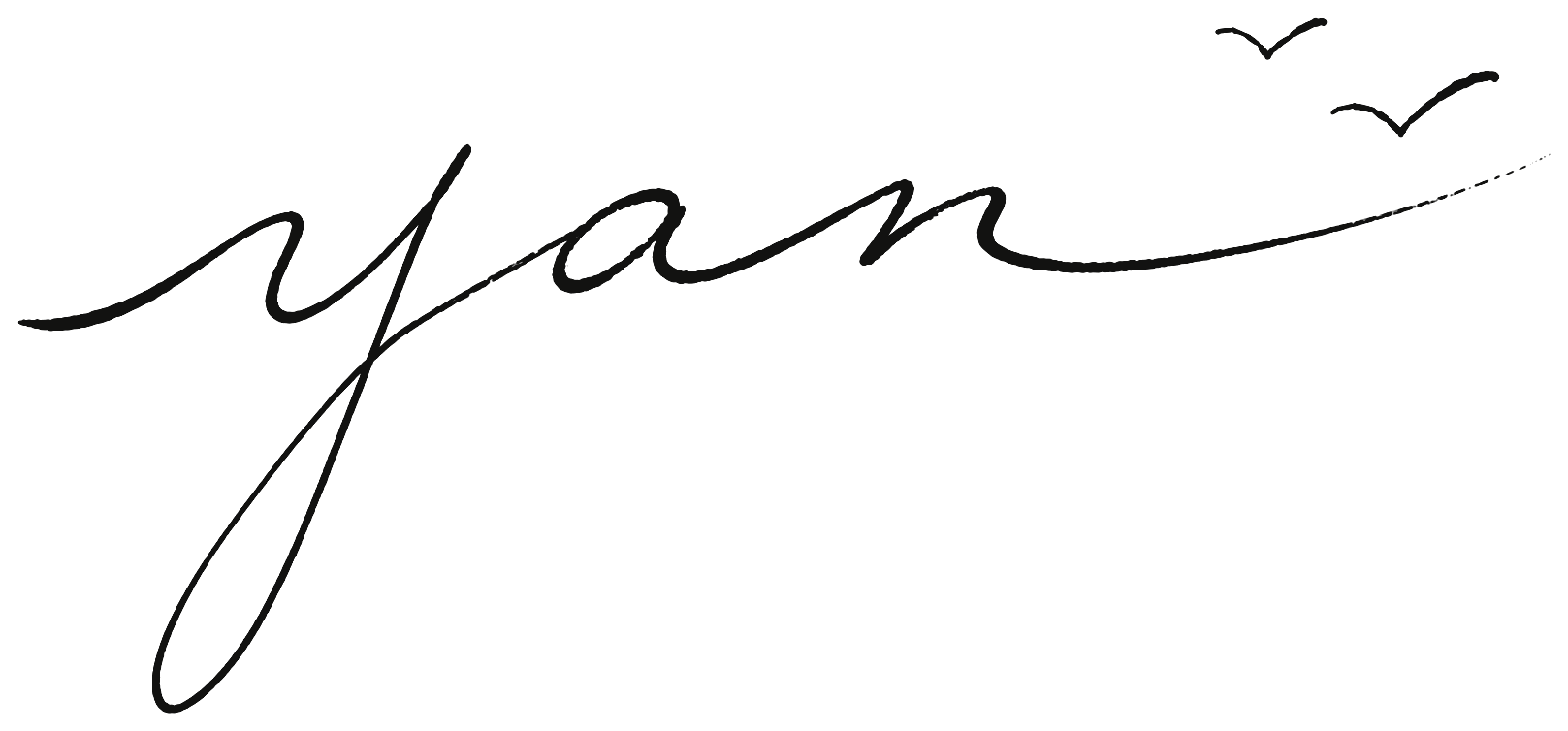 Yan 手写签名字标